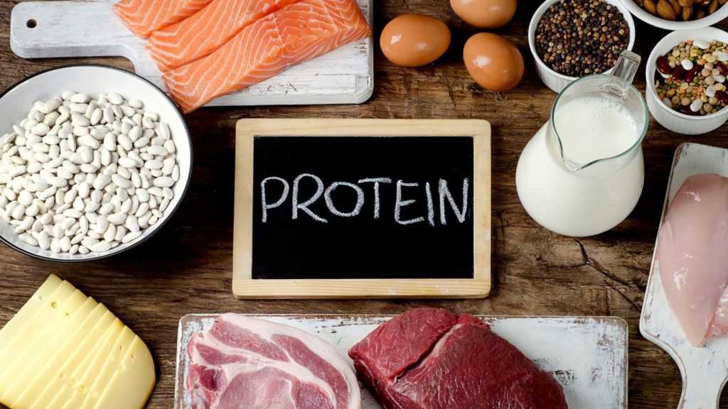 Protein To Reduce Your Belly Fat