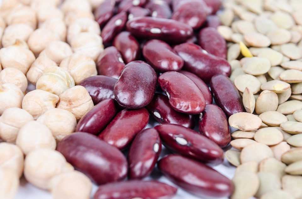 beans are one of the best Foods for Your Brain