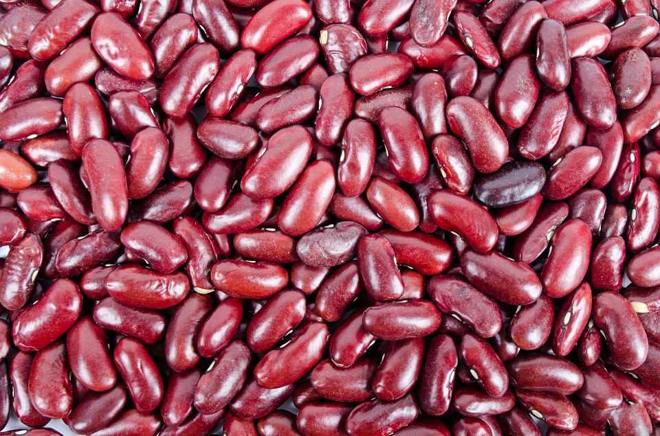 Kidney beans for weight loss