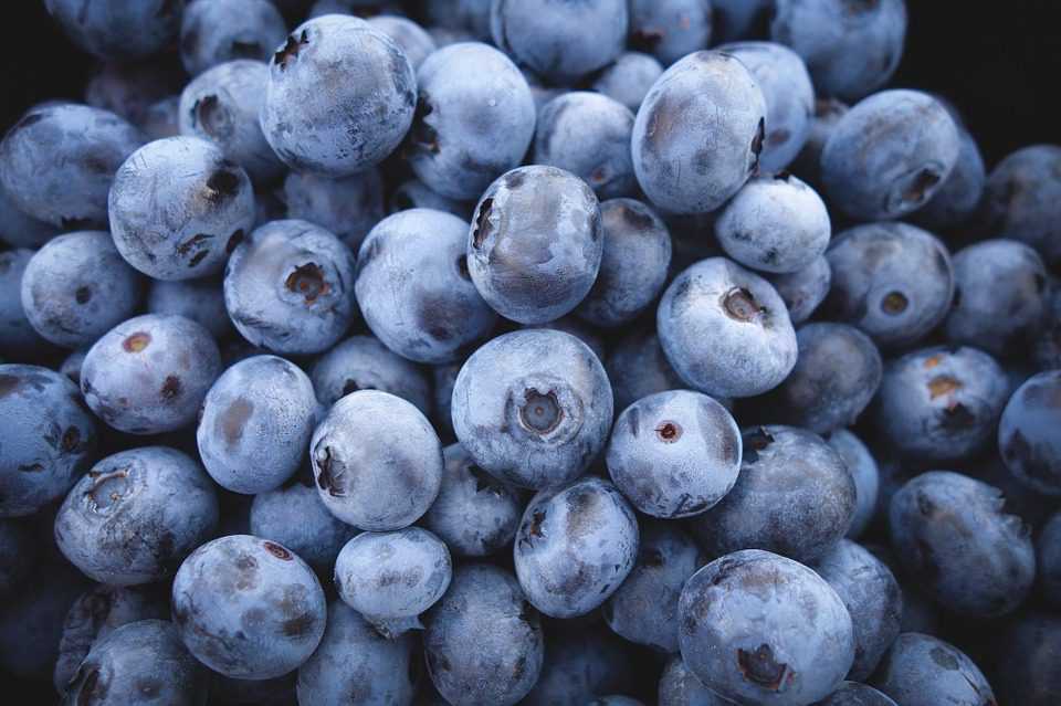 blueberries are one of the best Foods for Your Brain