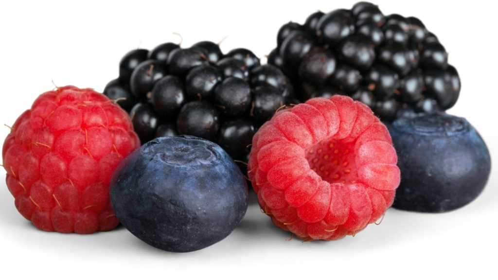 berries are good for diebetes