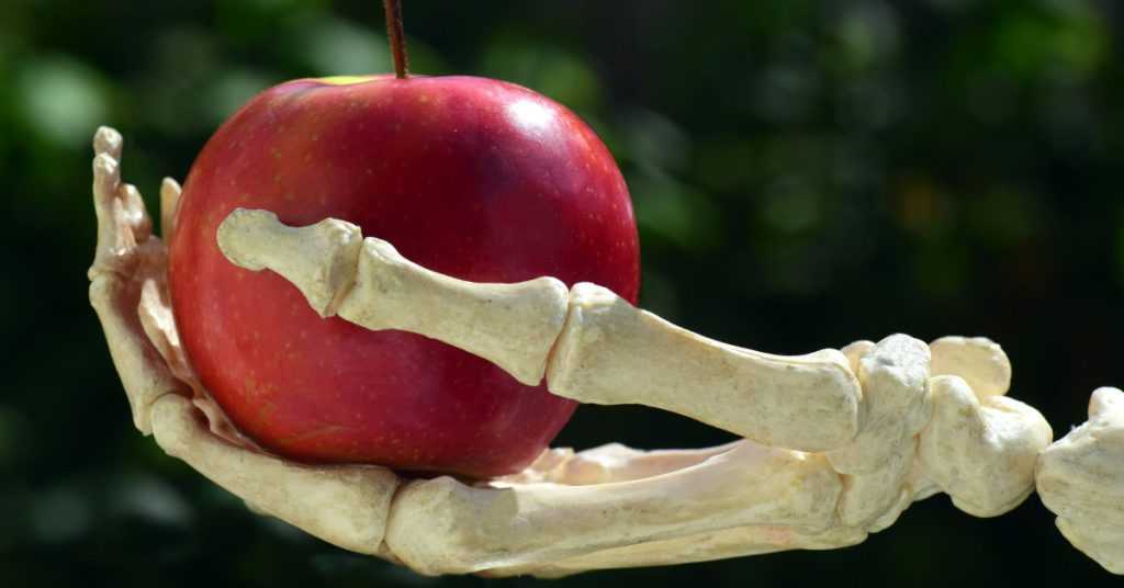 foods for making your bones stronger