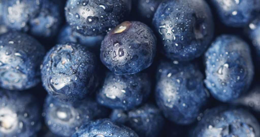 blueberries for brain