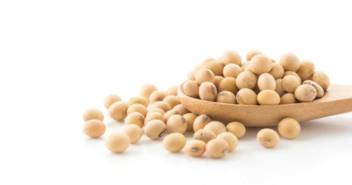 soy foods are not god in PCOS