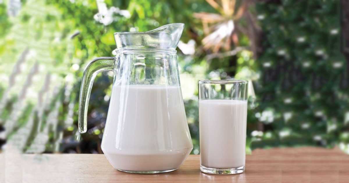 avoid dairy foods in PCOS