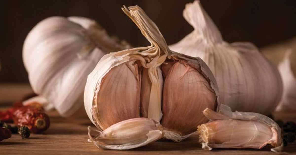 garlic for healing