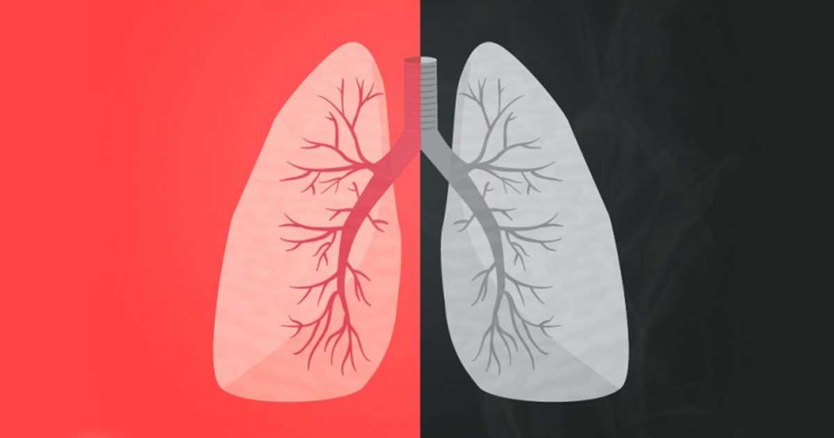 lung's health