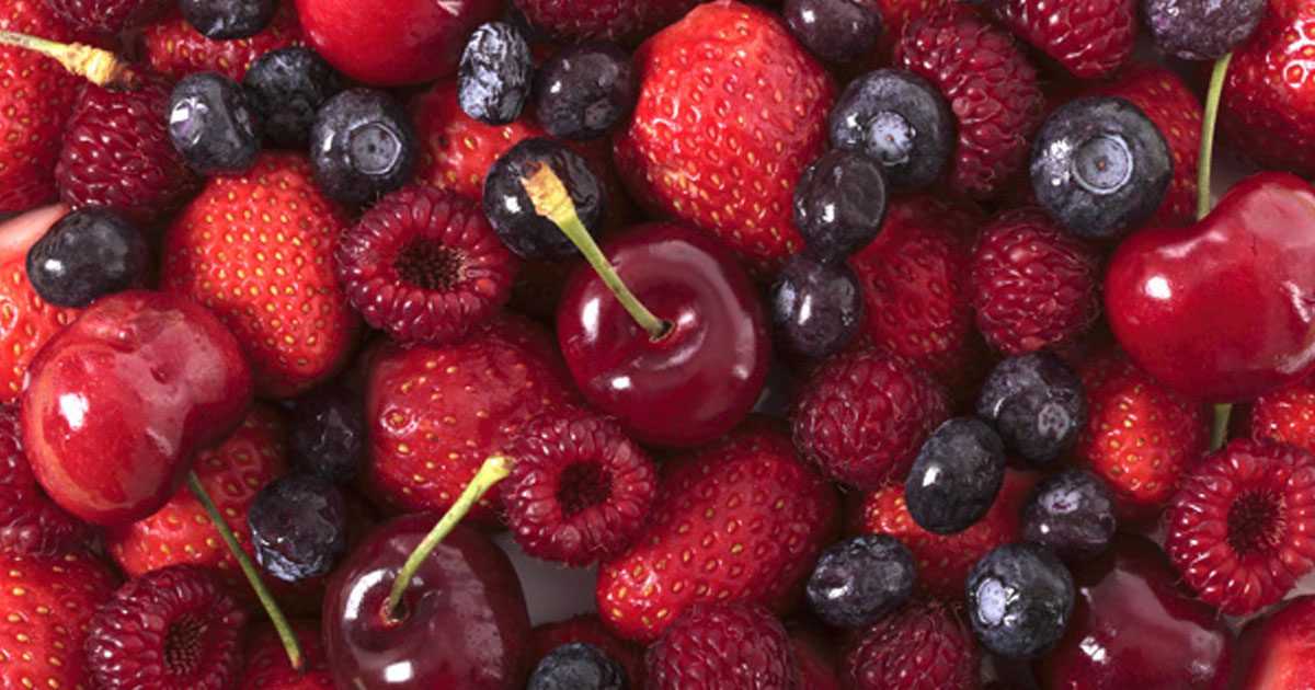 berries fight cancer