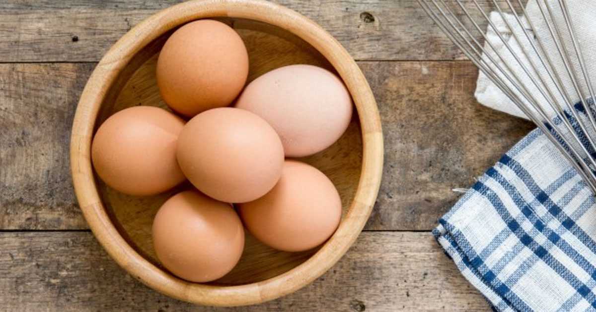 eggs are high in proteins