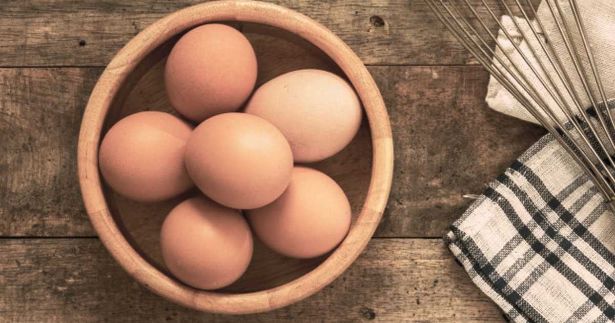 eggs are protein rich