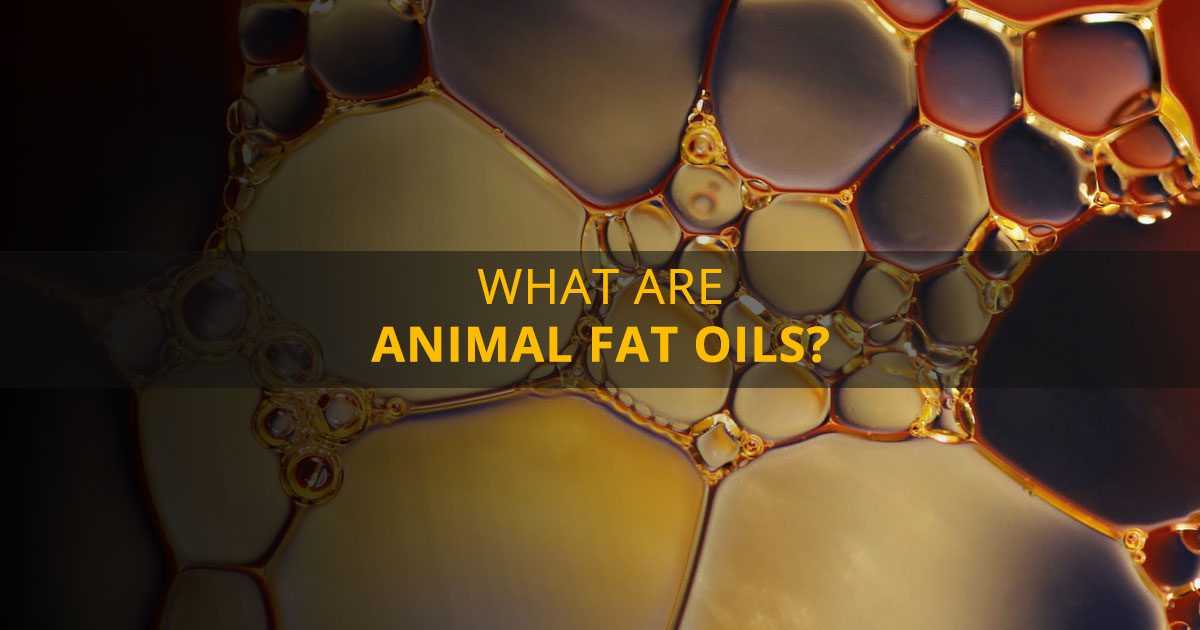 12 Health Hazards of Consuming Animal Fat Oils | Marham