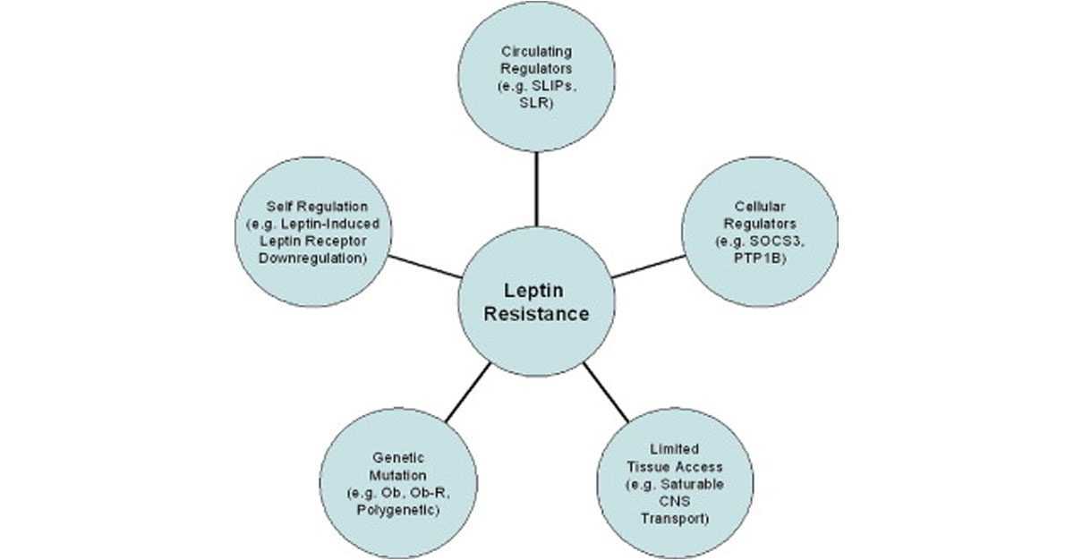 causes of leptin resistance