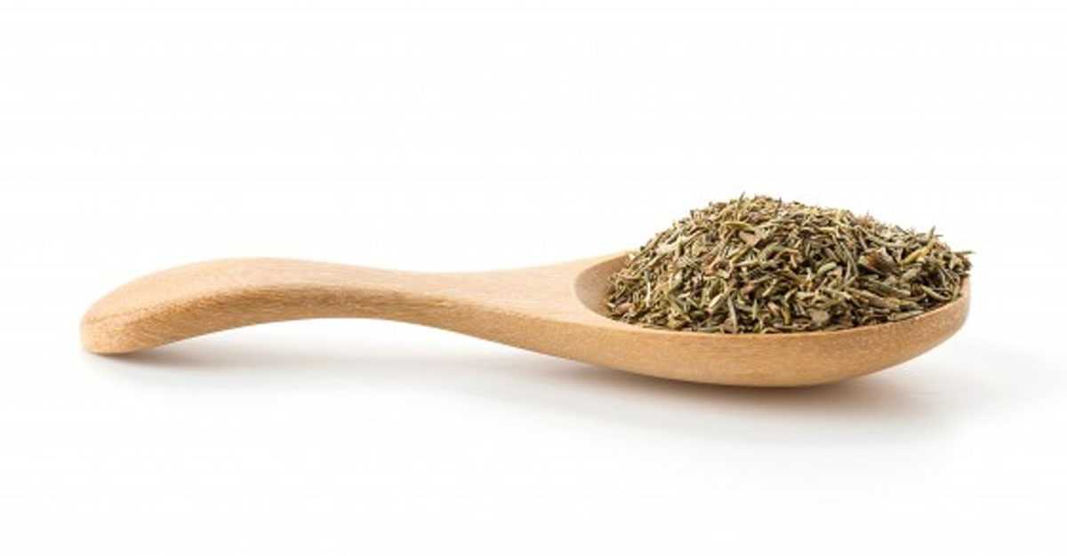 thyme for cough