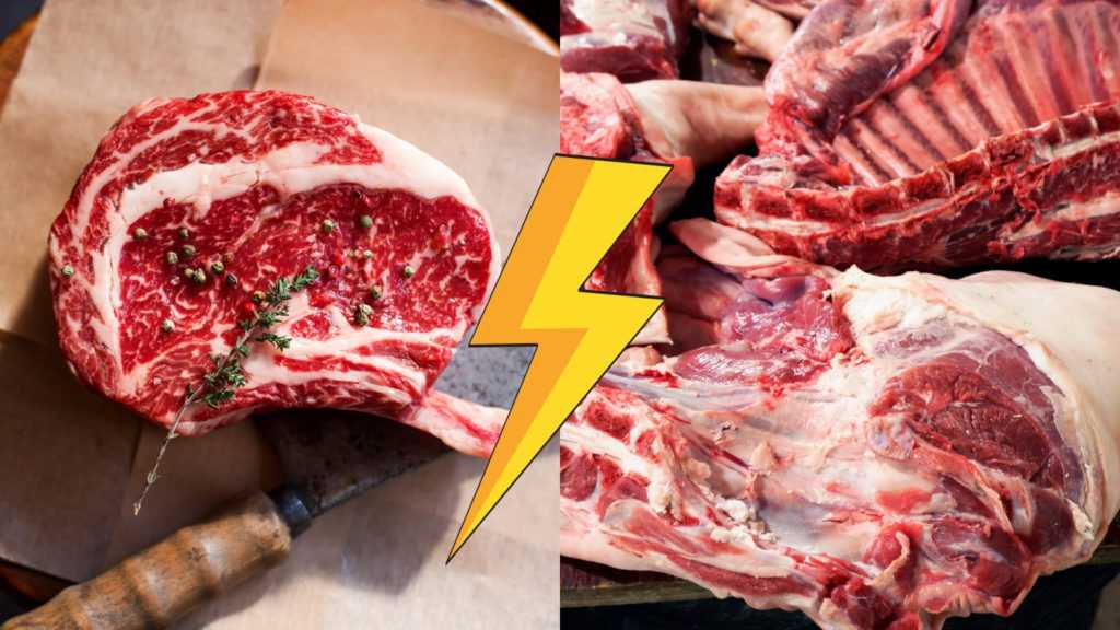 mutton vs beef