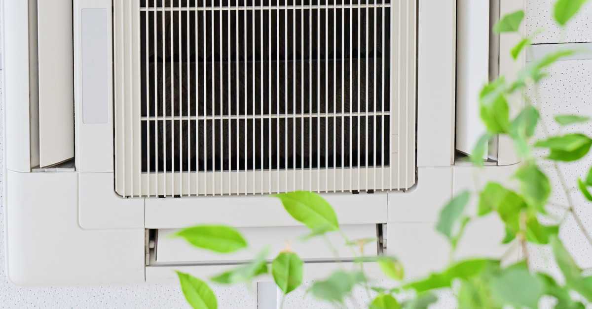 How Can You Improve Indoor Air Quality