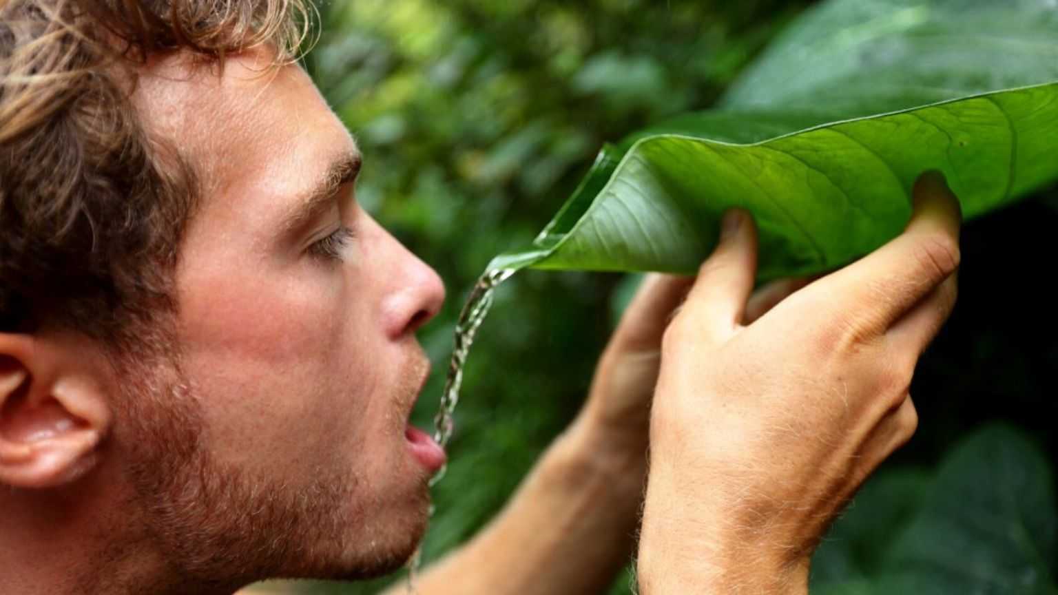 بارش کے پانی کے صحت کے لئے 7 فوائد