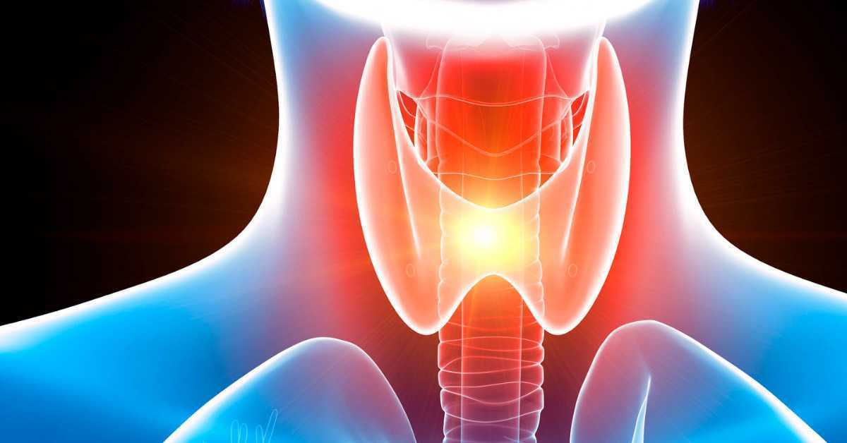 How To Get Rid Of Phlegm In Throat?