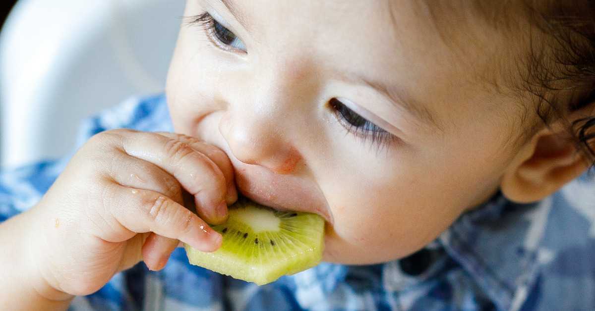 Kiwi Benefits For Babies