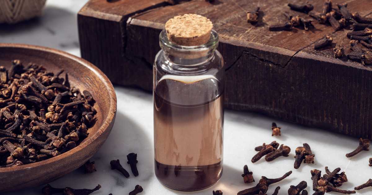 Cloves Oil for Toothache