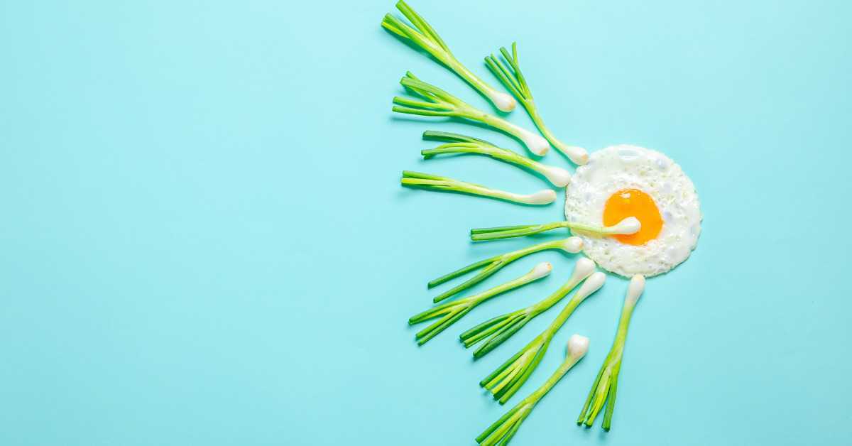 10 Amazing Kiwi Benefits For Sperm You Should Know