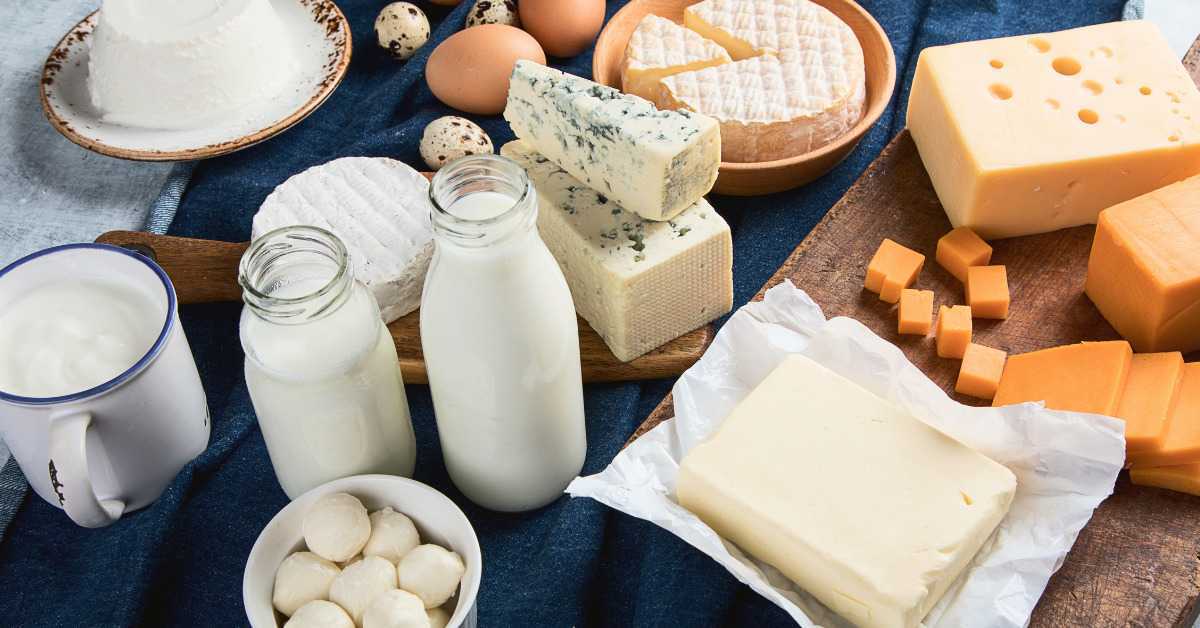 dairy foods for female fertility