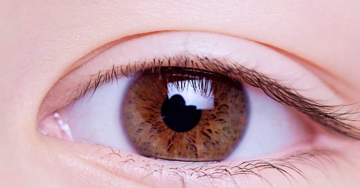 Sarvangasana Benefits For Eyes