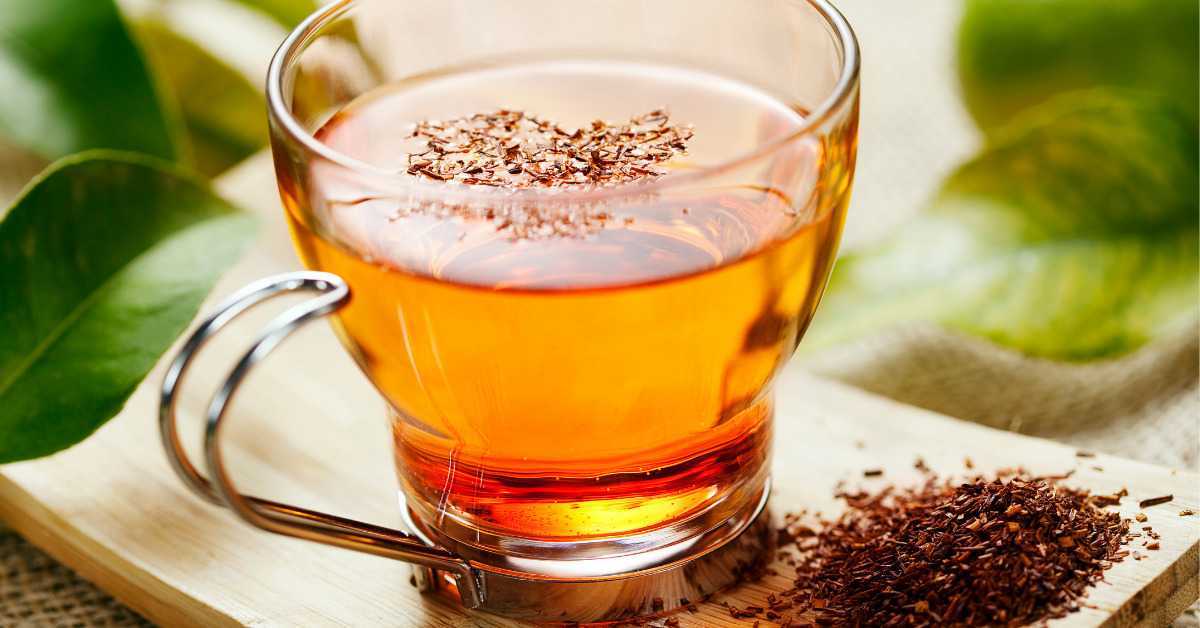 Rooibos Tea Benefits in Pregnancy`