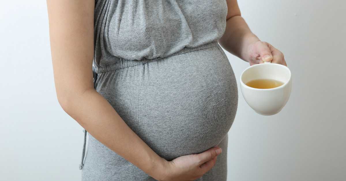 Rooibos Tea Benefits in Pregnancy`