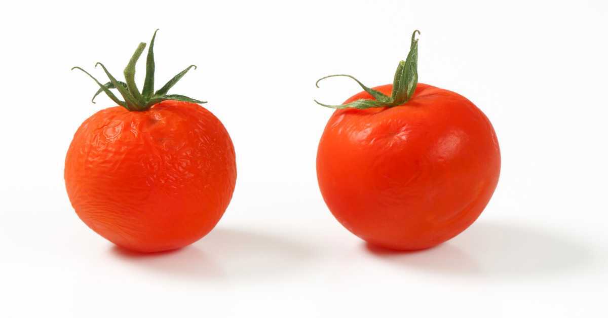 Are Tomatoes Bad for Gout?