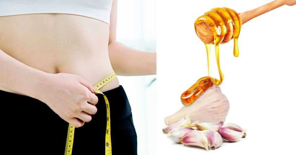 Garlic and Honey Benefits for weight loss