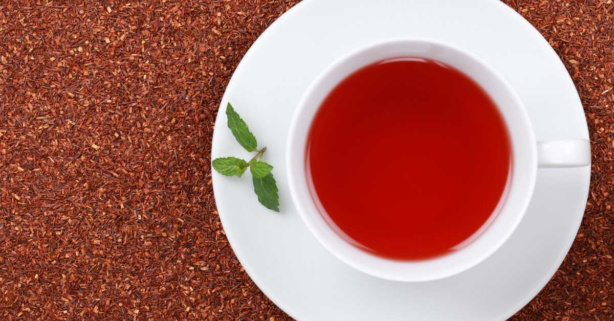 Rooibos Tea Side Effects