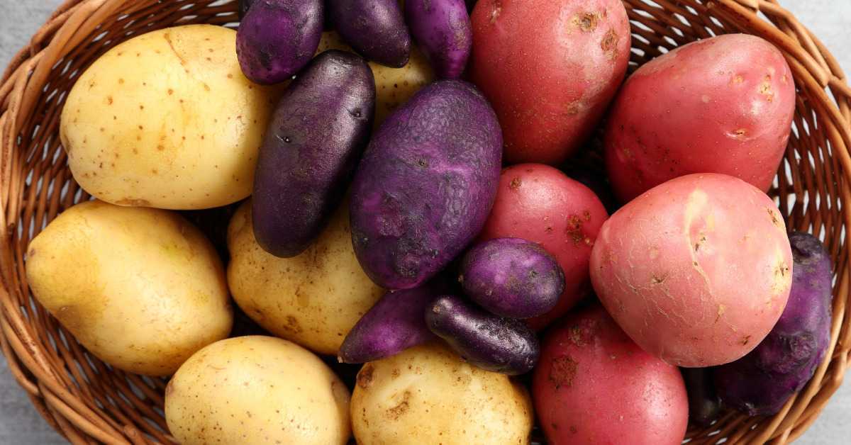 Is Potato Good for Uric Acid