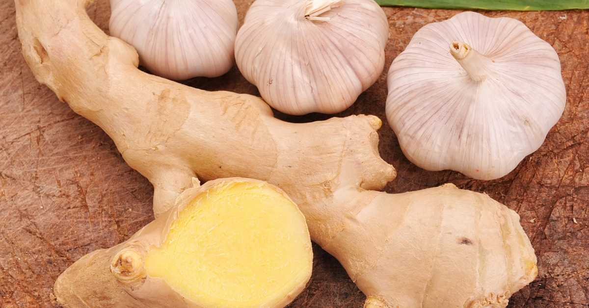 Is it good to take Ginger and Garlic during menstruation?