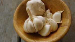 Garlic Benefits For Women's Sexually
