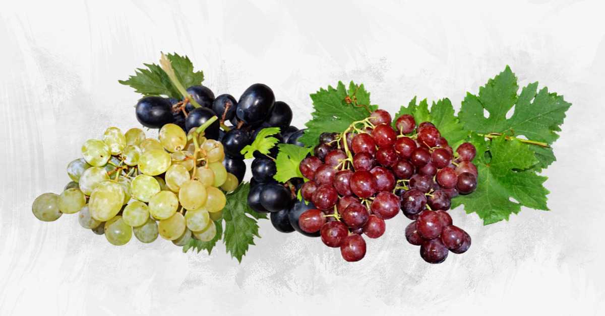  Benefits of Eating Grapes at Night