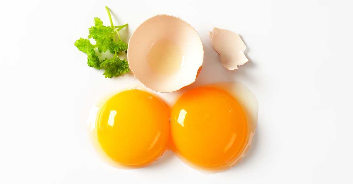 Is Egg Yolk Good for Weight Loss