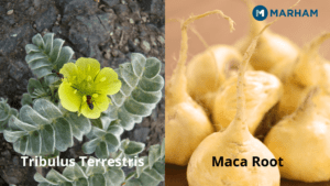 Try Maca Root and Tribulus Terrestris