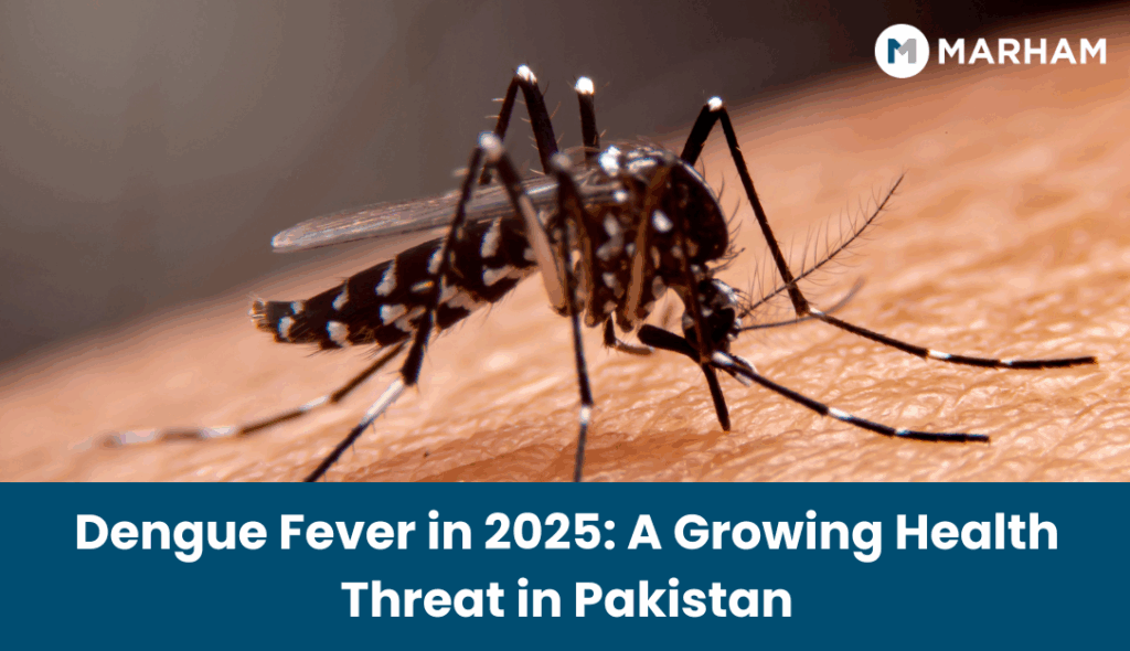 dengue fever in pakistan