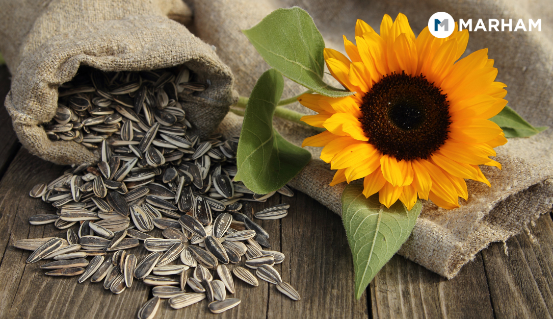 sunflower seeds types
