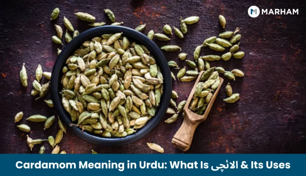 Cardamom Meaning in Urdu_ What Is الائچی & Its Uses