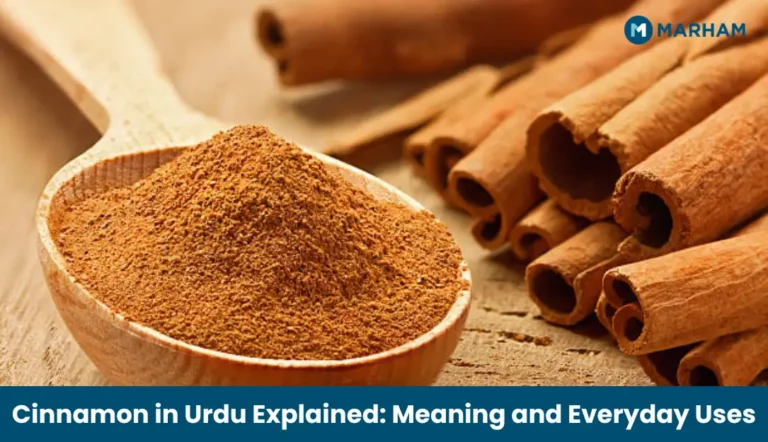 Cinnamon in Urdu Explained: Meaning and Everyday Uses Cinnamon in Urdu Explained_ Meaning and Everyday Uses