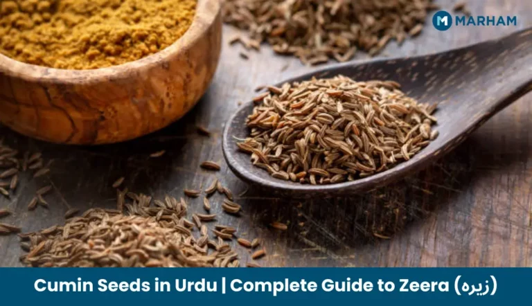 Cumin Seeds in Urdu | Complete Guide to Zeera (زیرہ) Cumin Seeds in Urdu _ Complete Guide to Zeera (زیرہ)
