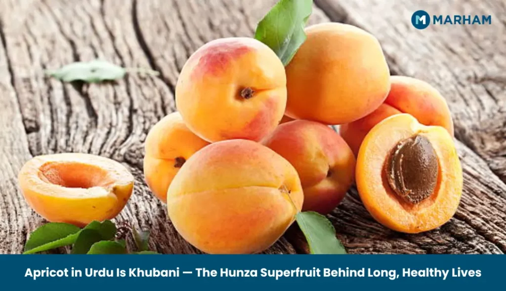 Apricot in Urdu Is Khubani — The Hunza Superfruit Behind Long, Healthy Lives