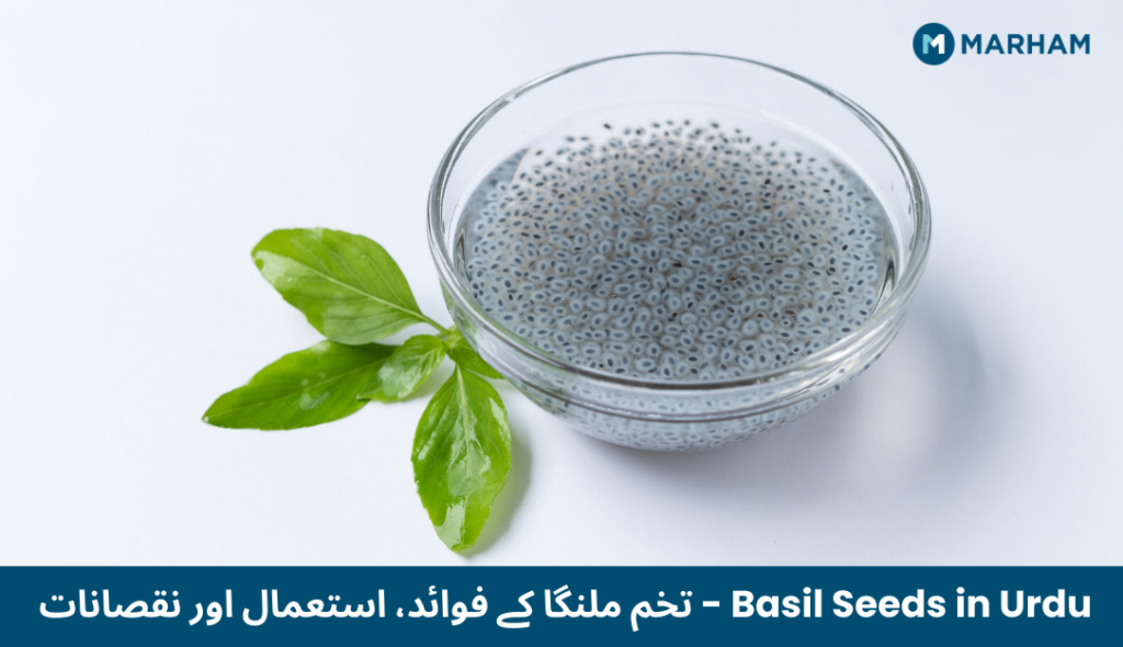 Basil Seeds in Urdu - تخم ملنگا کے فوائد، استعمال اور نقصانات