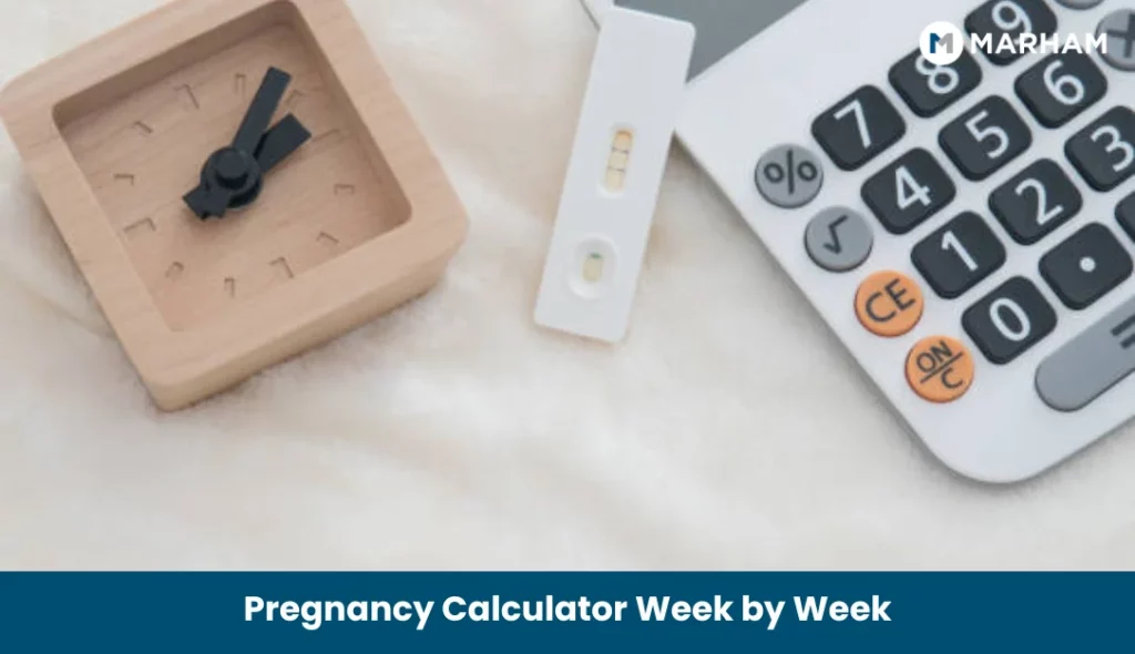 Pregnancy Calculator Week by Week