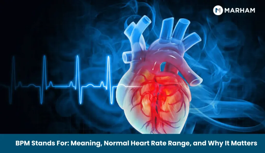 BPM Stands For_ Meaning, Normal Heart Rate Range, and Why It Matters