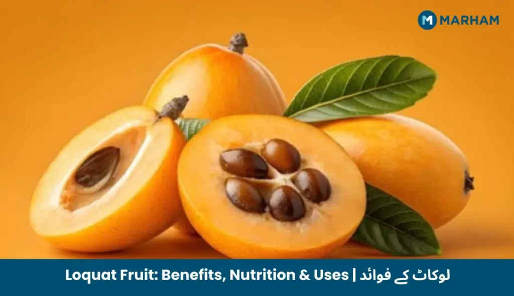 Loquat Fruit_ Benefits, Nutrition & Uses _ لوکاٹ کے فوائد