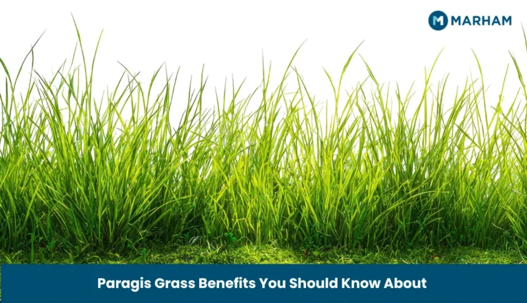 Paragis Grass Benefits You Should Know About Paragis Grass Benefits You Should Know About