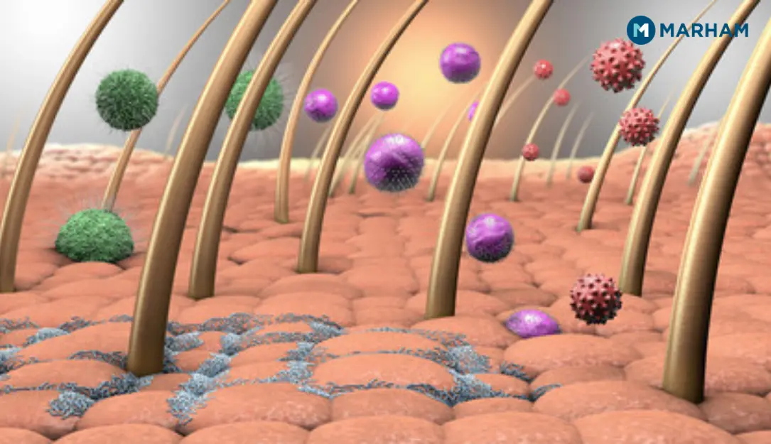 Your skin serves as a physical barrier