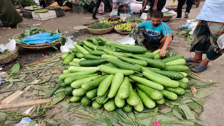 4. Bottle Gourd (Lauki/Kaddu)